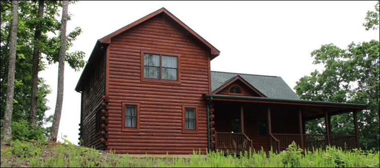Professional Log Home Borate Application  Dewitt, Virginia